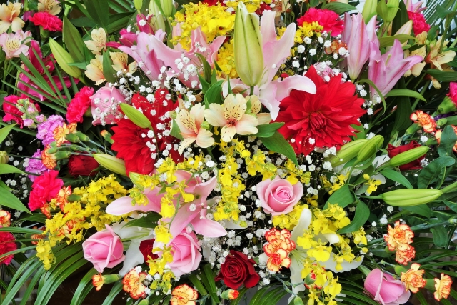 strengths and features